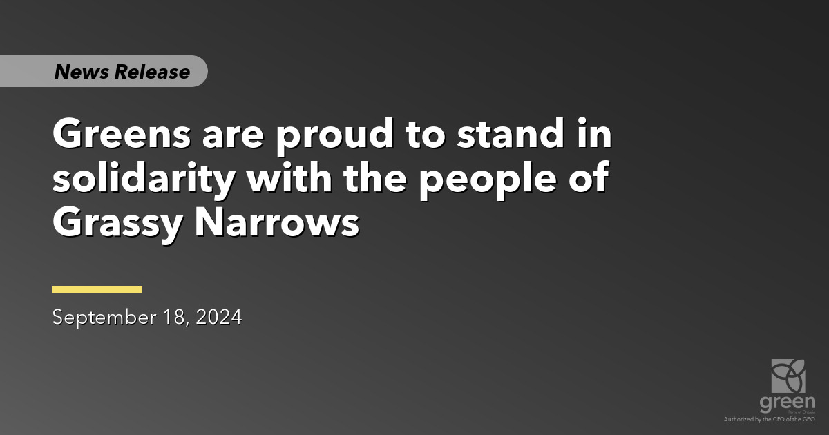 Ontario Greens Rally for Grassy Narrows: A Call for Justice Against ...